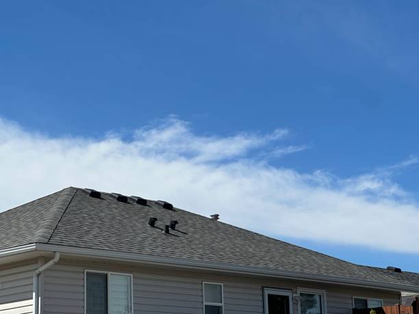 Best Gutter Installation and Repair  in Mount Gilead, NC